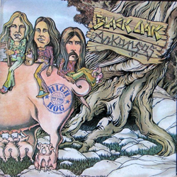 Black Oak Arkansas High On The Hog Vinyl LP USED