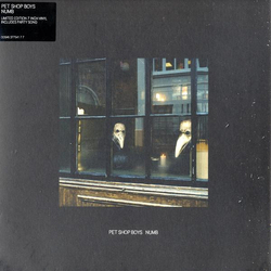 Pet Shop Boys Numb Vinyl 7" USED