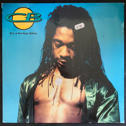 CB Milton It's A Loving Thing Vinyl 12" USED