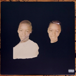 Vince Staples Ramona Park Broke My Heart Vinyl LP USED