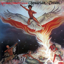 Norman Connors / Aquarian Dream (2) Aquarian Dream Vinyl LP USED