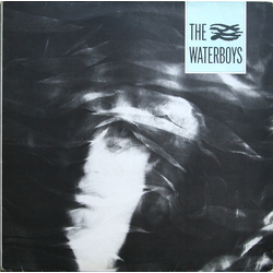 The Waterboys The Waterboys Vinyl LP USED