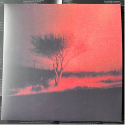 Joji Piss In The Wind Vinyl LP USED