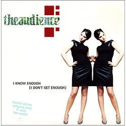 theaudience I Know Enough (I Don't Get Enough) Vinyl 7" USED
