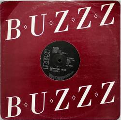 Buzzz (2) Sorry My Dear Vinyl 12" USED
