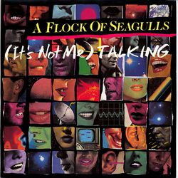 A Flock Of Seagulls (It's Not Me) Talking Vinyl 12" USED