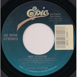 Alice Cooper Hey Stoopid Vinyl 7" USED