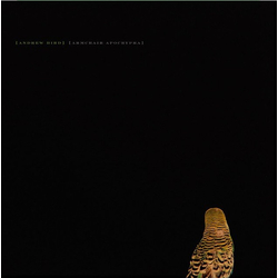 Andrew Bird Armchair Apocrypha Vinyl LP USED