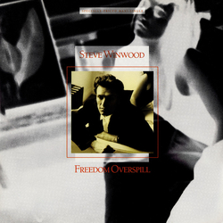 Steve Winwood Freedom Overspill Vinyl 12" USED