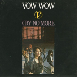 Vow Wow Cry No More Vinyl 7" USED