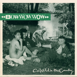 Bow Wow Wow Go Wild In The Country Vinyl 12" USED