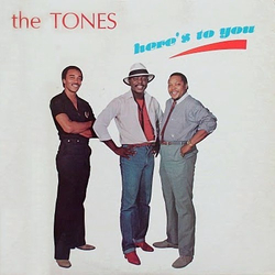 The Tones (2) Here's To You Vinyl LP USED