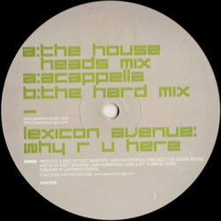 Lexicon Avenue Why R U Here Vinyl 12" USED