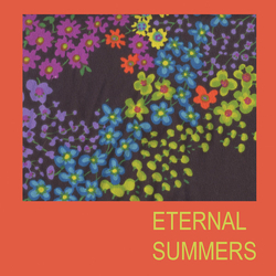 Eternal Summers The Dawn Of Eternal Summers Vinyl LP USED