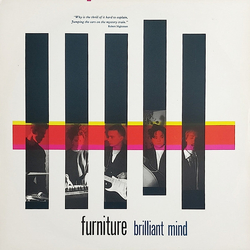 Furniture Brilliant Mind Vinyl 12" USED