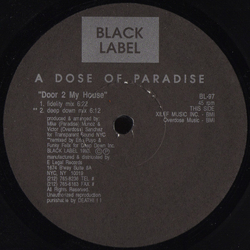 A Dose Of Paradise Door 2 My House Vinyl 12" USED