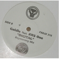 Goldie / KRS-One Digital USED VINYL 12INCH PROMO