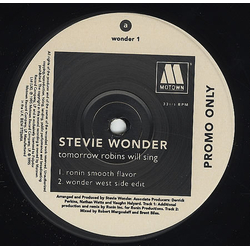 Stevie Wonder Tomorrow Robins Will Sing Vinyl 12" USED