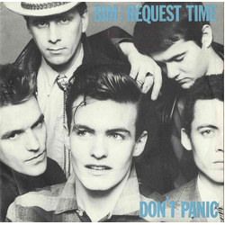 BIM Request Time/Don't Panic Vinyl 7" USED