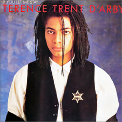 Terence Trent D'Arby If You Let Me Stay Vinyl 7" USED