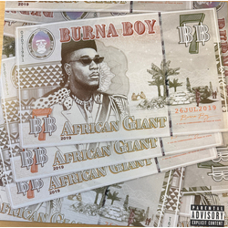 Burna Boy African Giant Vinyl LP USED