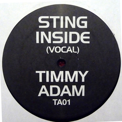 Sting Inside (Timmy Regisford & Adam Rios Remix) Vinyl 12" USED