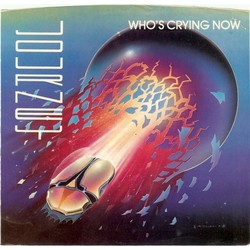 Journey Who's Crying Now Vinyl 7" USED