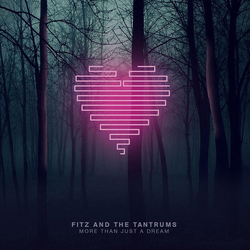 Fitz And The Tantrums More Than Just A Dream Vinyl LP USED