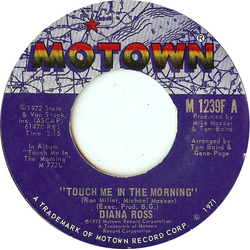 Diana Ross Touch Me In The Morning Vinyl 7" USED