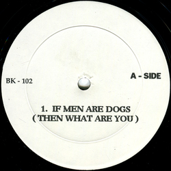 Phife Dawg If Men Are Dogs (Then What Are You) / Brooklyn Queens Allstars Vinyl 12" USED