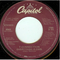T-Connection Everything Is Cool Vinyl 7" USED