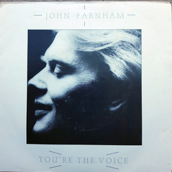 John Farnham You're The Voice Vinyl 7" USED