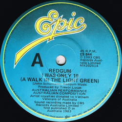 Redgum I Was Only 19 (A Walk In The Light Green) Vinyl 7" USED