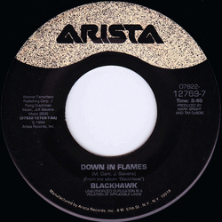 Blackhawk Down In Flames Vinyl 7" USED