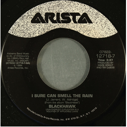 Blackhawk I Sure Can Smell The Rain Vinyl 7" USED