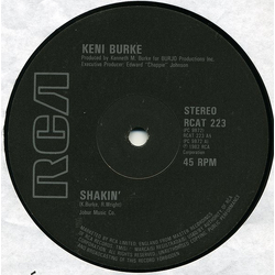 Keni Burke Shakin' Vinyl 12" USED