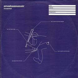 Amoeba Assassin Housevisit Vinyl 12" USED