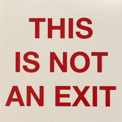 The Backfires This Is Not An Exit Vinyl LP USED