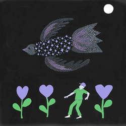Bonnie "Prince" Billy The Purple Bird Vinyl LP USED