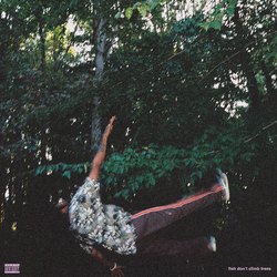 Chester Watson (2) Fish Don't Climb Trees Vinyl LP USED