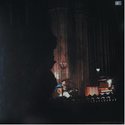 Fleet Foxes A Very Lonely Solstice Vinyl LP USED