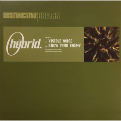 Hybrid Visible Noise / Know Your Enemy Vinyl 12" USED
