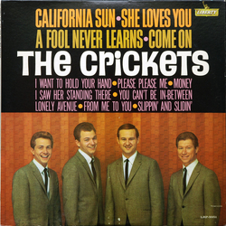 The Crickets (2) California Sun / She Loves You Vinyl LP USED