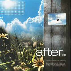 After (14) After EP 1 + EP 2 Vinyl LP USED