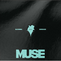 Jimin (2) Muse Vinyl LP USED