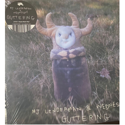MJ Lenderman / Wednesday (10) Guttering Vinyl LP USED