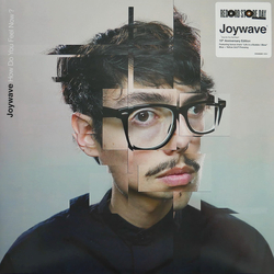 Joywave How Do You Feel Now? Vinyl 2 LP USED