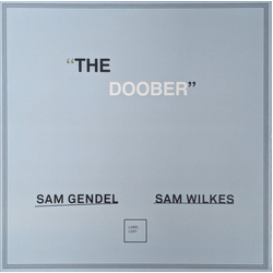 Sam Gendel / Sam Wilkes (2) The Doober Vinyl LP USED