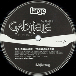 Roy Davis Jr. Gabrielle Vinyl 12" USED