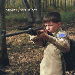 Seaway / Safe To Say Seaway/Safe To Say Split Vinyl 7" USED